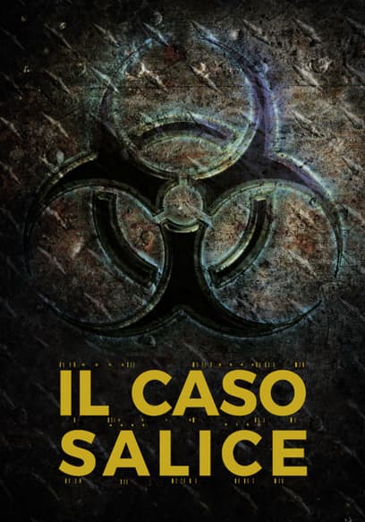 Il Caso Salice