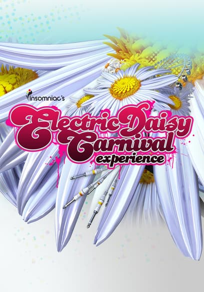 Electric Daisy Carnival Experience