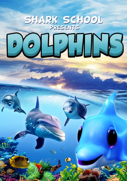 Shark School Presents: Dolphins