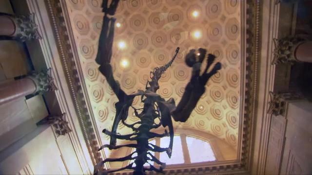 S02:E02 - Inside the American Museum of Natural History, New York