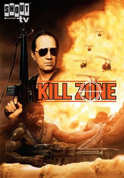  Kill Zone [DVD] [2005] : Movies & TV