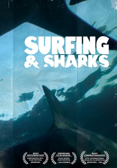 Surfing and Sharks