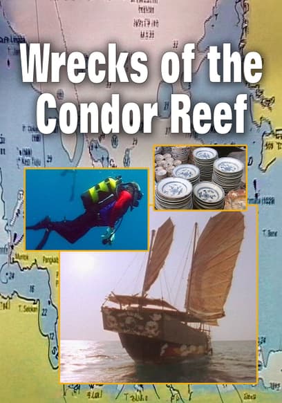Wrecks of the Condor Reef
