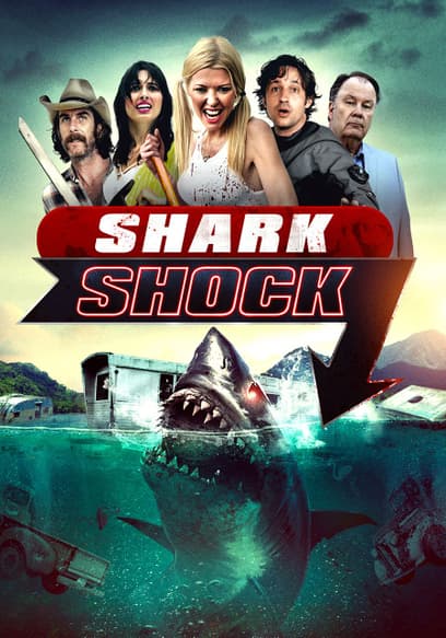 Shark Shock (Español)