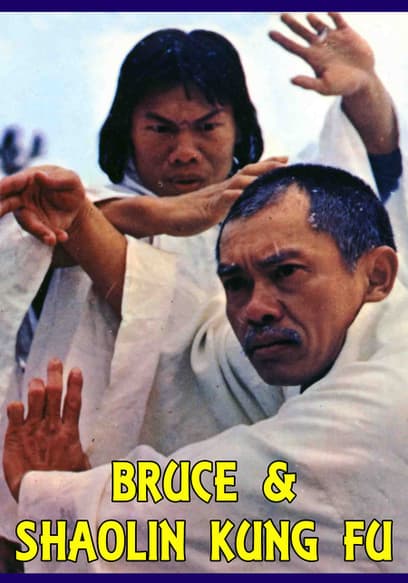 Bruce & Shaolin Kung Fu