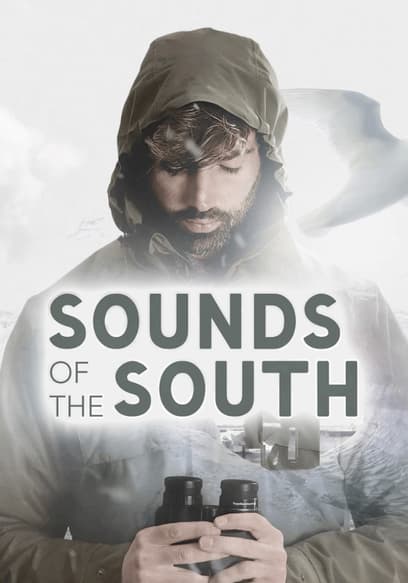 Sounds of the South