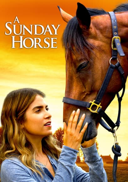 A Sunday Horse
