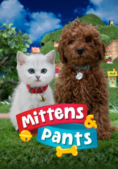 S01:E10 - Tortoise and the Mittens, Calm Pants, Mittens’ Cousin