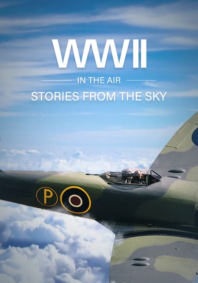 WWII in the Air: Stories From the Sky