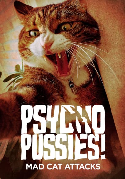 Psycho Pussies: Mad Cat Attacks