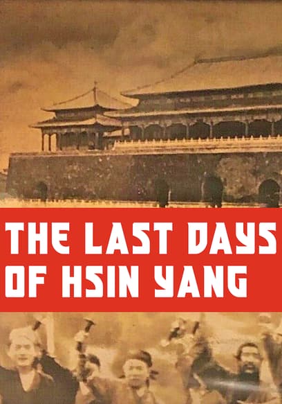 The Last Days of Hsin Yang