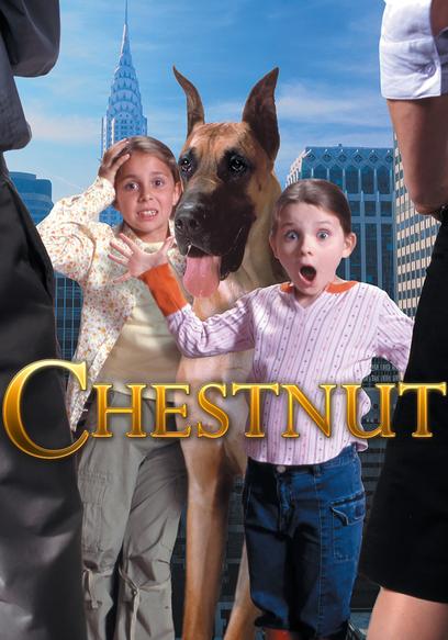 Chestnut: Hero of Central Park