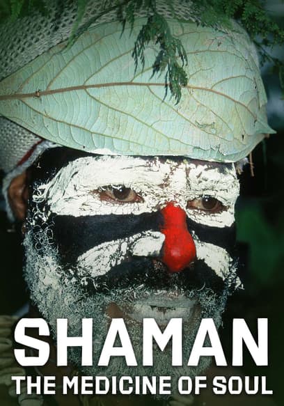 Shaman: The Medicine of Soul