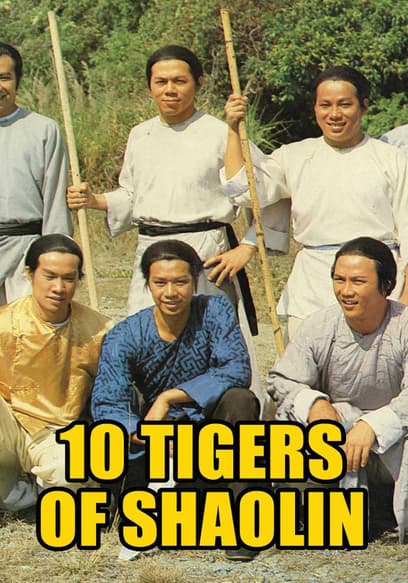 10 Tigers of Shaolin