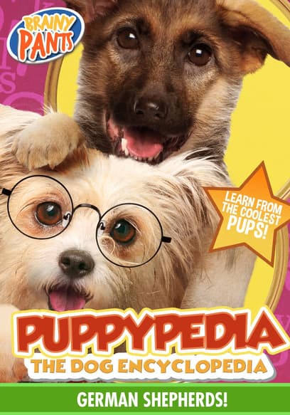 Puppy-Pedia the Dog Encyclopedia: German Shepherds