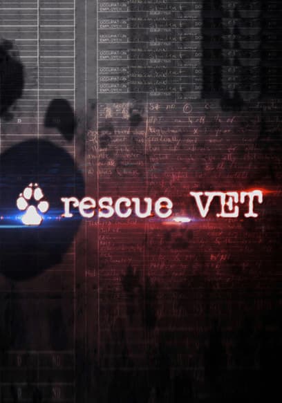 Rescue Vet