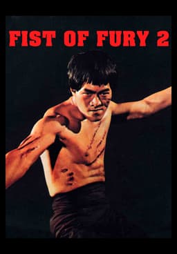 Bruce lee fist sales of fury 2