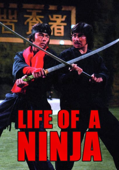 Life of a Ninja