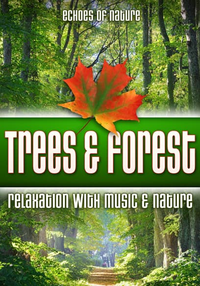 Trees & Forest: Echoes of Nature Relaxation With Music & Nature