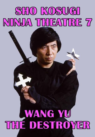 Wang Yu the Destroyer