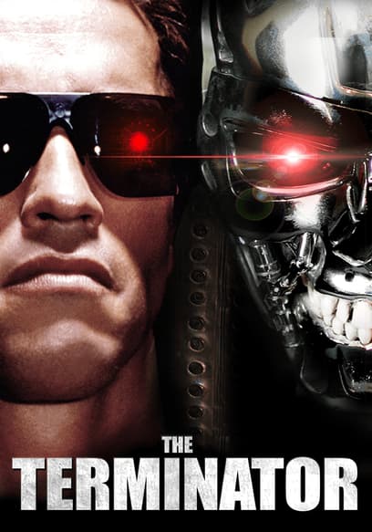 The Terminator (Español)