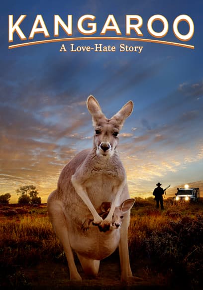 Watch Kangaroo A Love Hate Story 2018 Free Movies Tubi