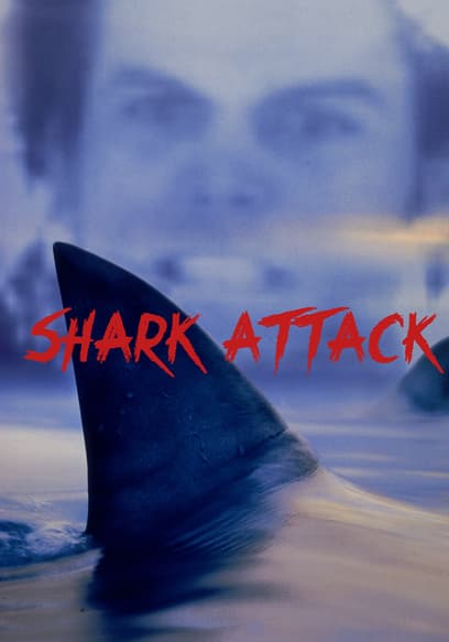 Watch Shark Attack (1999) - Free Movies | Tubi