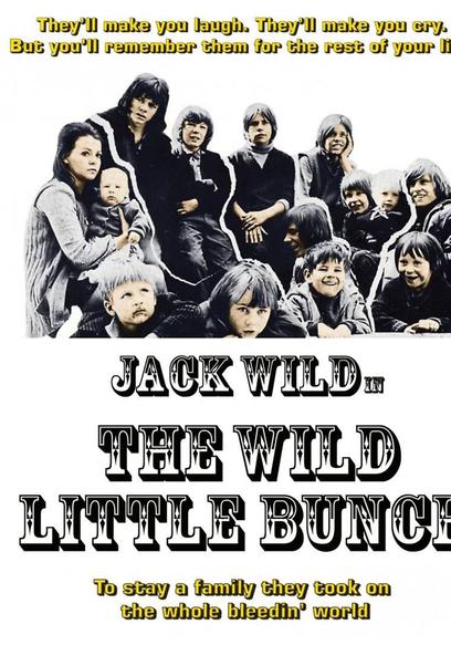 The Wild Little Bunch