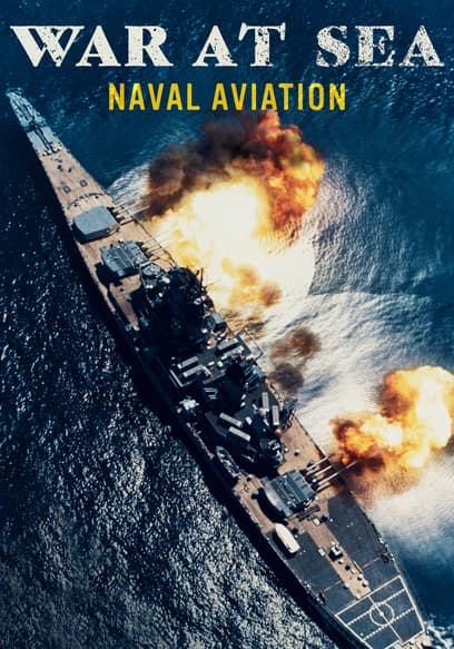 War at Sea: Naval Aviation