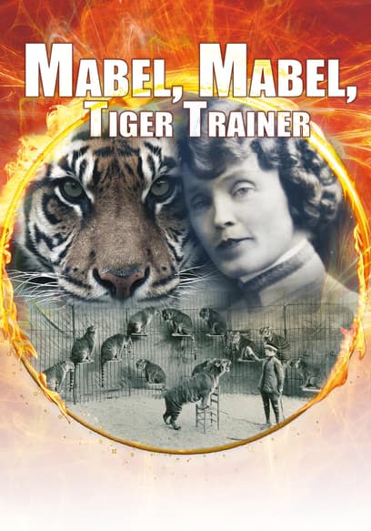 Mabel, Mabel, Tiger Trainer