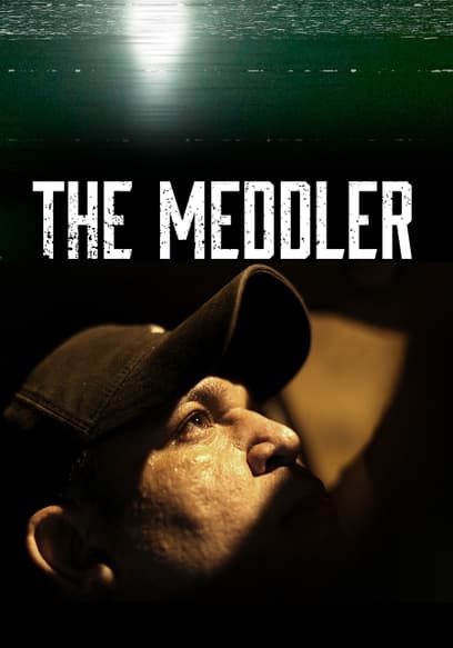 The Meddler (En)