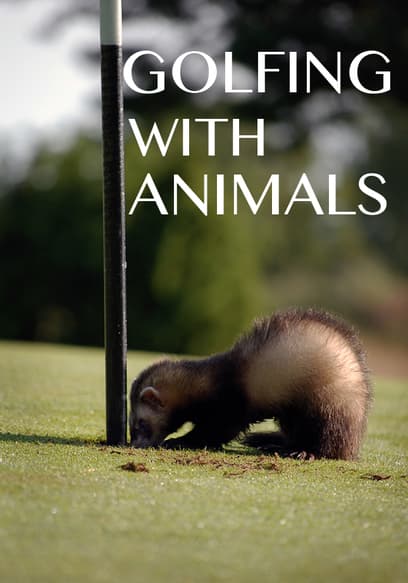 Golfing With Animals