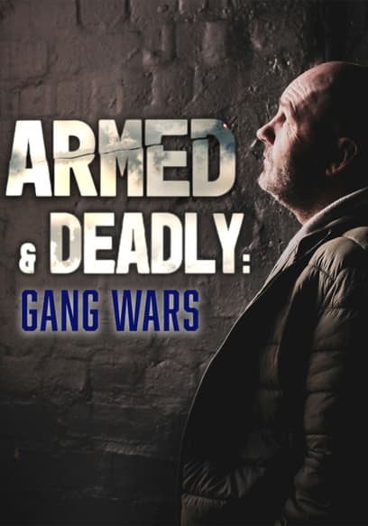 Armed and Deadly: Gang Wars