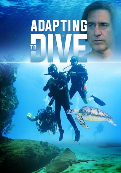 Adapting to Dive