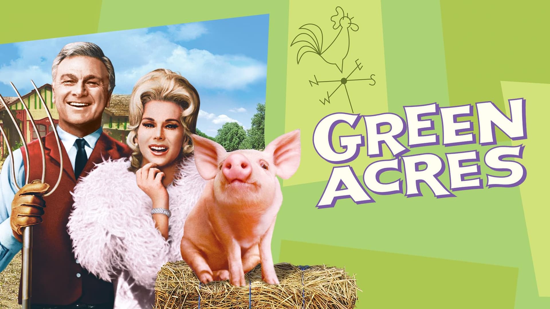 Watch Green Acres S01E01 Oliver Buys a Farm Free TV Shows Tubi