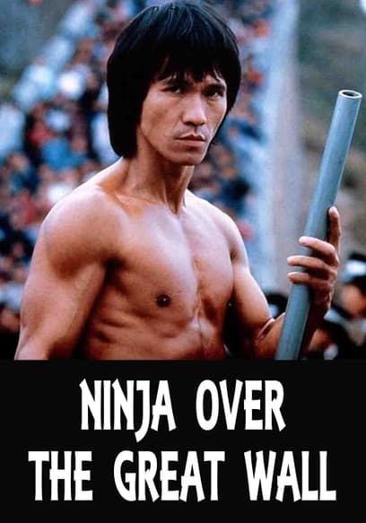 Ninja Over the Great Wall