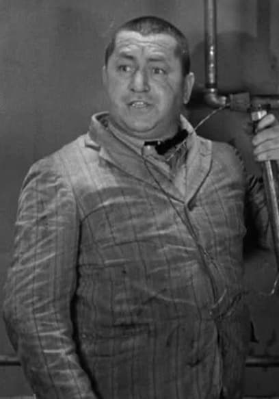 Watch The Three Stooges+ Comedy Gold Standard S02:E0 - Free TV Shows | Tubi