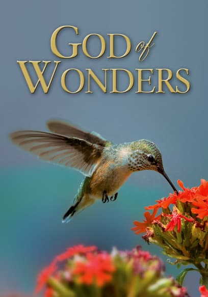 God of Wonders