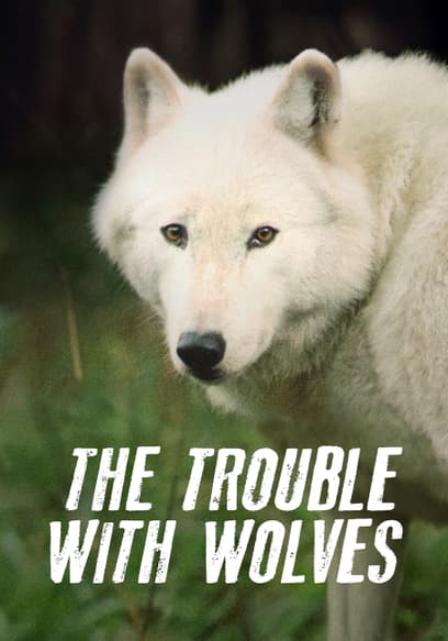 The Trouble With Wolves