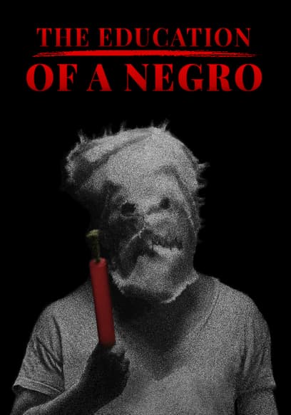 The Education of a Negro