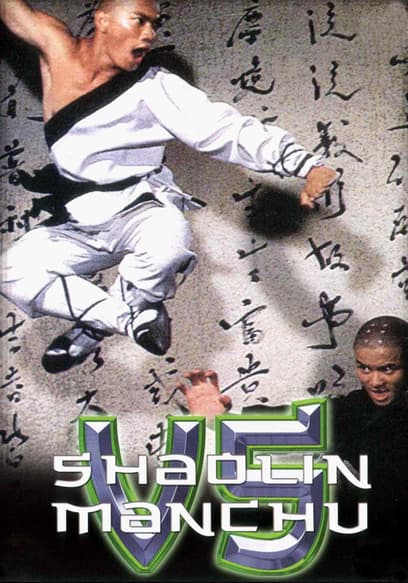 Shaolin vs Manchu