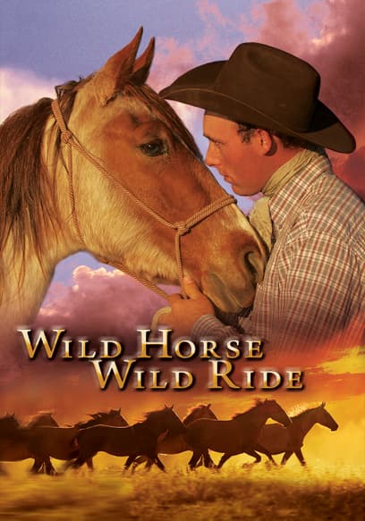 Wild Horse, Wild Ride