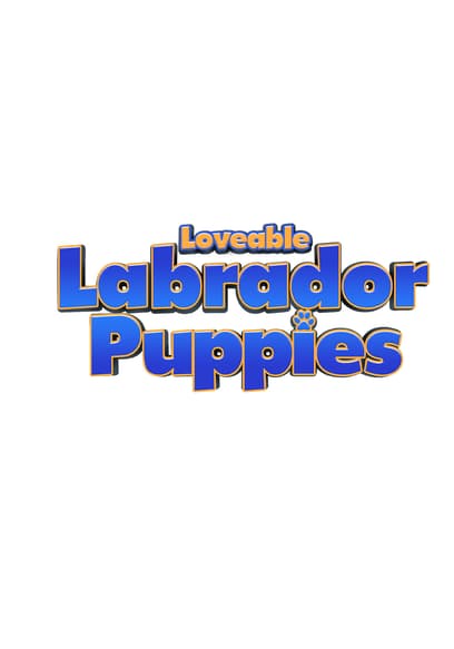 Puppy Time: Loveable Labrador Puppies