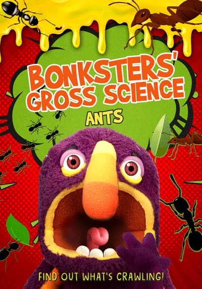 Bonksters' Gross Science: Ants