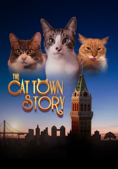 The Cat Town Story
