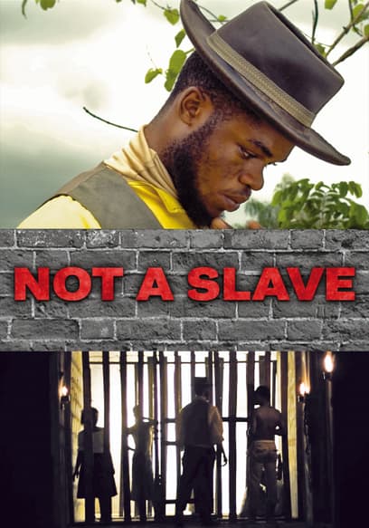 Not a Slave