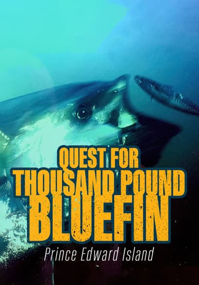 Quest for Thousand-Pound Bluefin: Prince Edward Island
