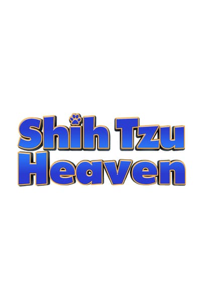 Puppy Time: Shih Tzu Heaven