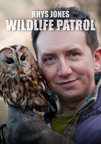 Watch Rhys Jones's Wildlife Patrol S01:E01 - Episode - Free TV Shows | Tubi