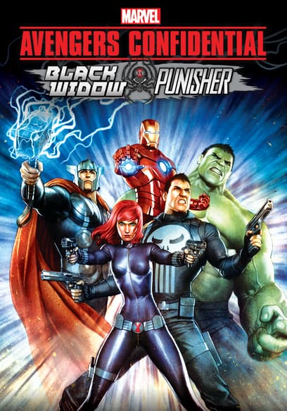 Avengers Confidential: Black Widow & Punisher